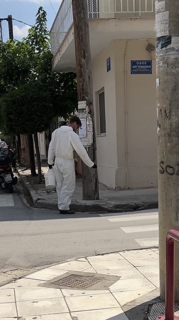 250624 kounoupia
